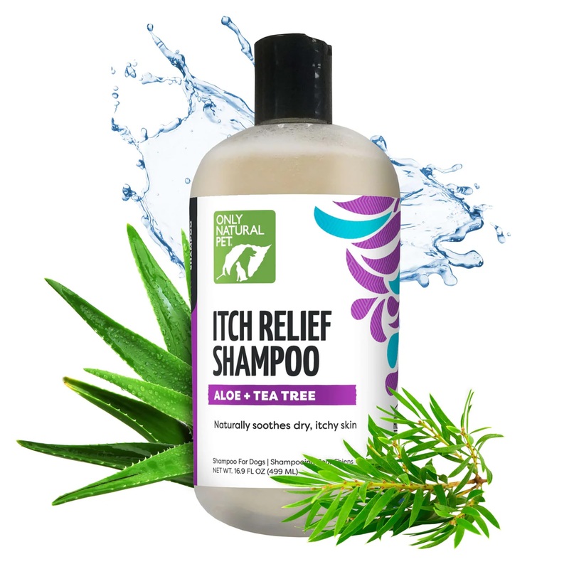 Only Natural Pet Itch Relief Shampoo with Aloe + Tea Tree for Dogs, Oatmeal Dog Shampoo for Dry Itchy Skin Allergies, Anti Itch Sensitive Skin No Sulfates, Parabens, Phosphates, Phthalates – 16.9 Oz 16.9 oz – Shampoo