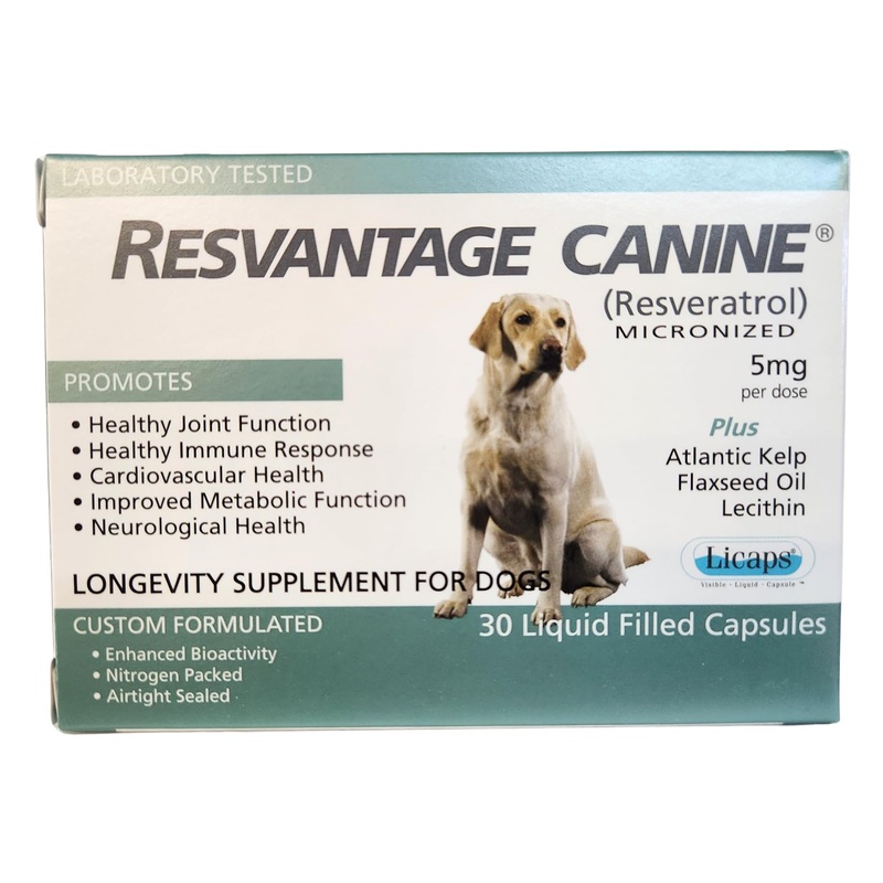 Overall Canine Health