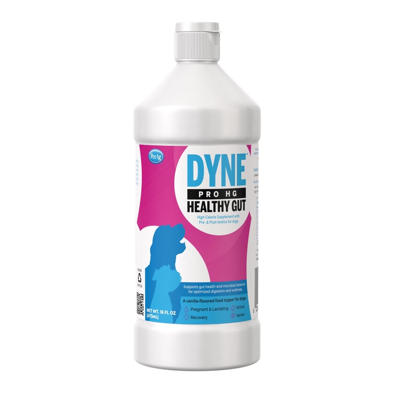 PetAg Dyne PRO HG Healthy Gut for Dogs & Puppies 8 Weeks & Older – 16 oz – High Calorie Liquid Nutritional Supplement with Pre- & Post-Biotics – Supports Endurance & Gut Health – Sweet Vanilla Flavor