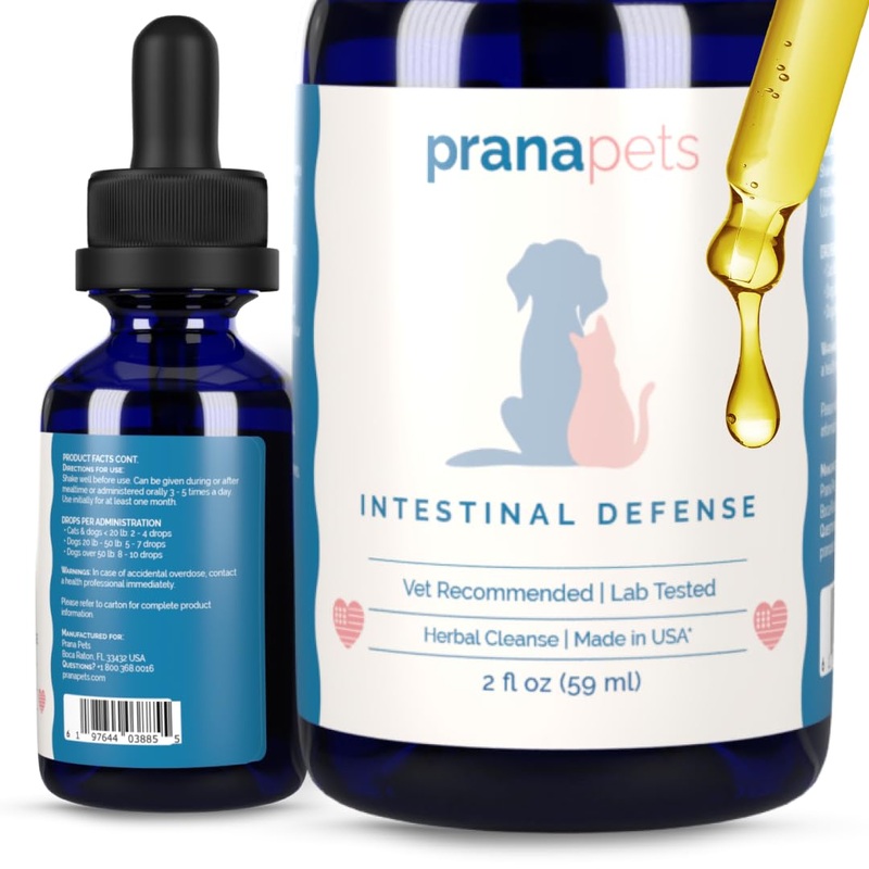PranaPets Intestinal Defense Supplement for Dogs & Cats | Naturally Helps Digestive Issues in Pets | Herbal Formula 1 Pack