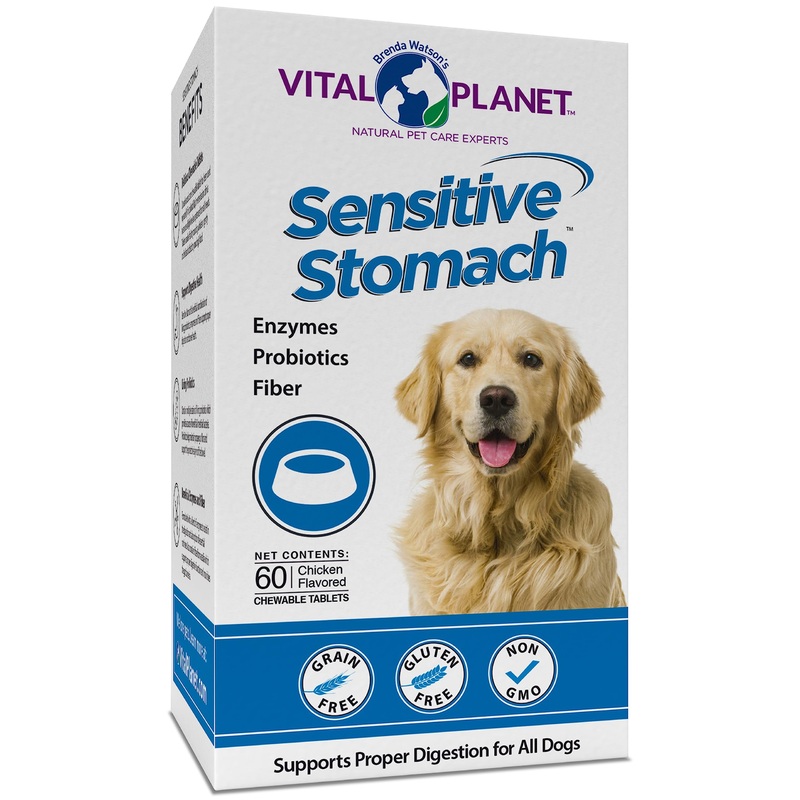 Vital Planet – Sensitive Stomach for Dogs with Enzymes, Probiotics and Fiber, Natural Digestive Support for Upset Stomach with Fennel, and Peppermint, 60 Chicken Flavored Chewable Tablets