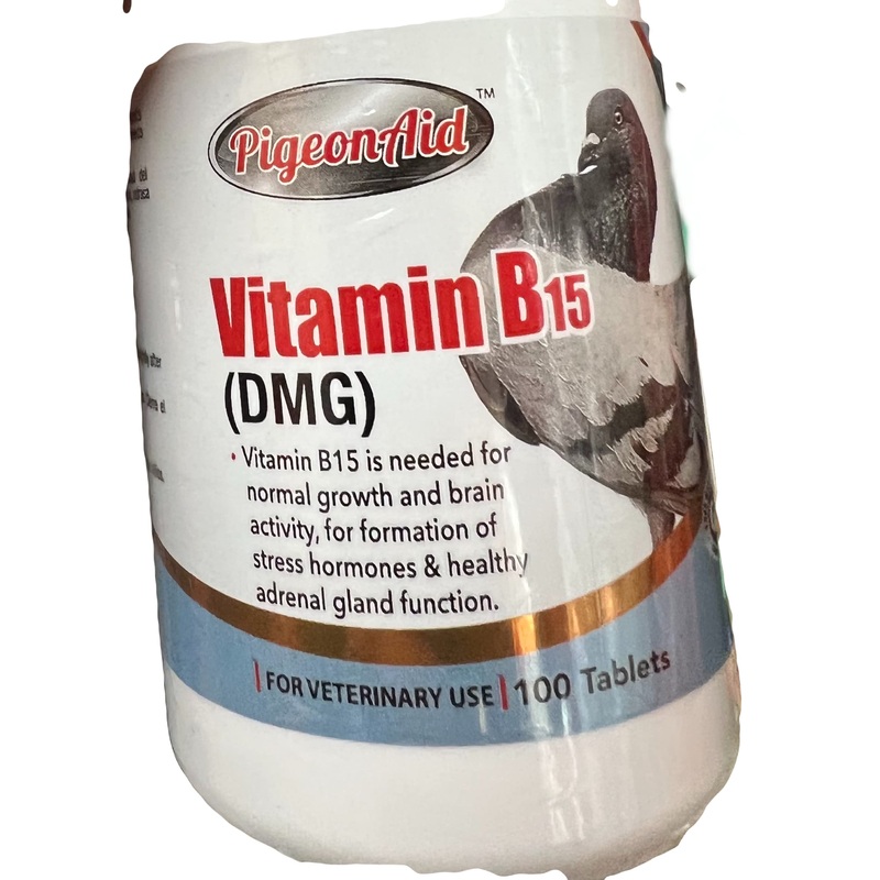 Vitamin B15 (DMG) 100 Tablets PALOMAS Pigeons