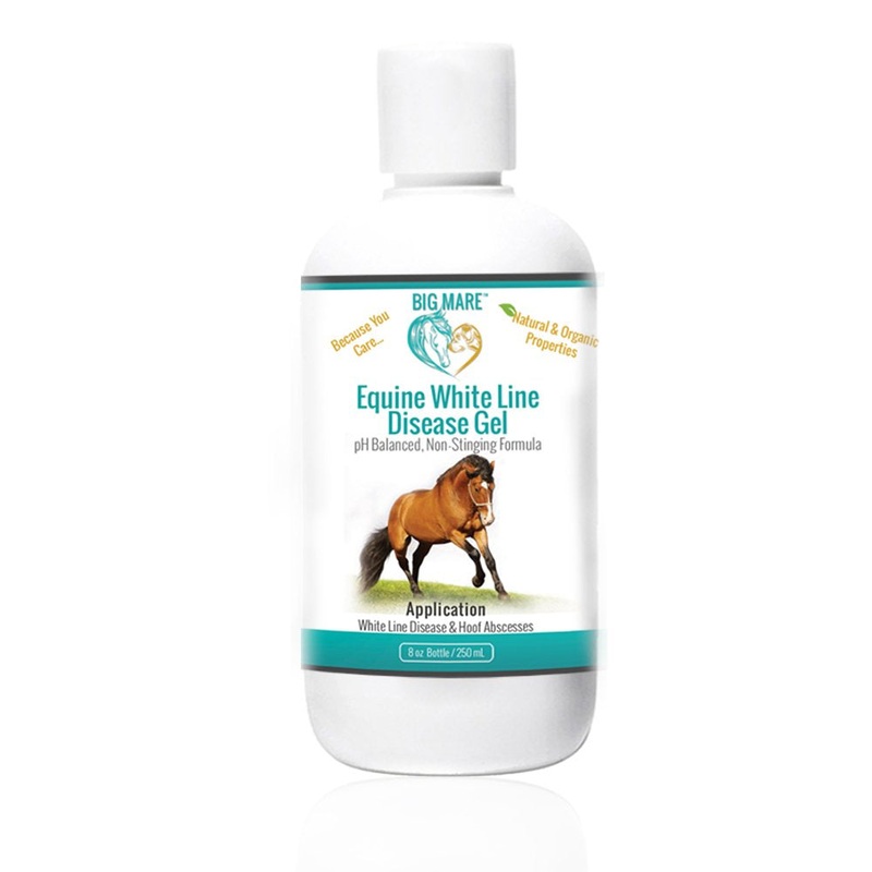 Big Mare Horse White Line Gel for Equine Hoofs | Effective On Abscesses & White Line Hoof Disease