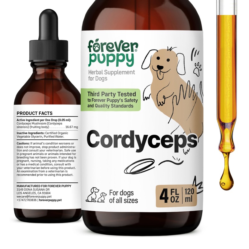 Cordyceps Mushroom Extract for Dogs – Liquid Energy Support Supplement w/Cordyceps Sinensis for Kidney Cleanse – Mushroom Drops for Dogs’ Canine Kidney Health Support – 4 oz