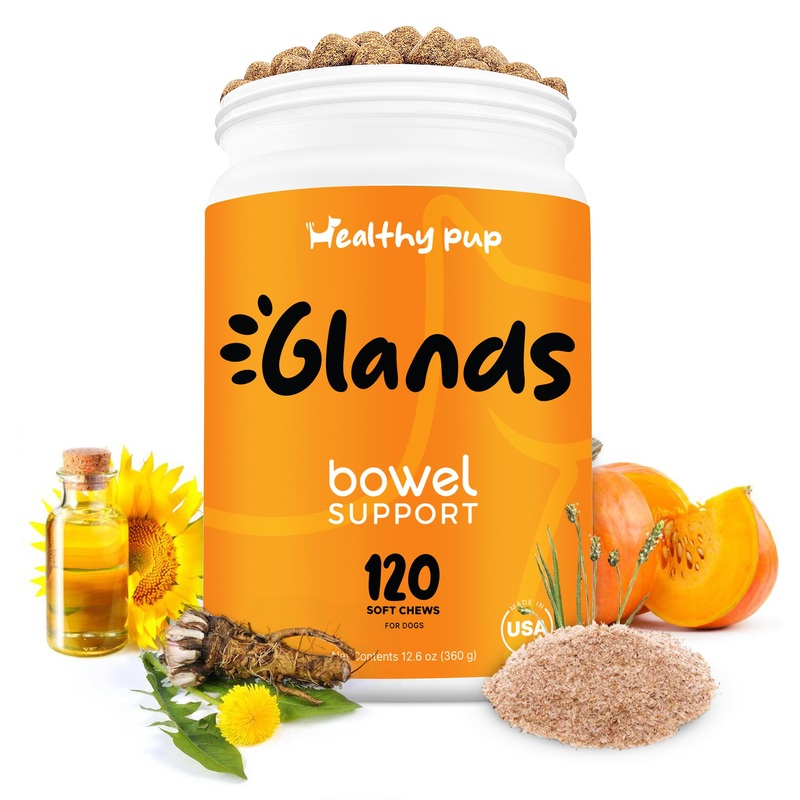 Glands Bowel Support – 120 Delicious Scoot Soft Chews for Scooting, Healthy Anal Glands, and Digestive Health – Made with Pumpkin Powder for Dogs