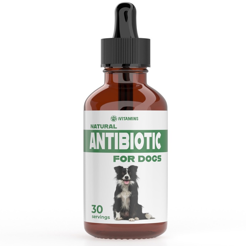 Natural Dog Antibiotics – Antibiotics for Dogs – Antibiotic for Dog – Yeast Infection Treatment for Dogs – Dog Yeast Infection Treatment – Itch Relief for Dogs – 1 fl oz – Bacon Flavor