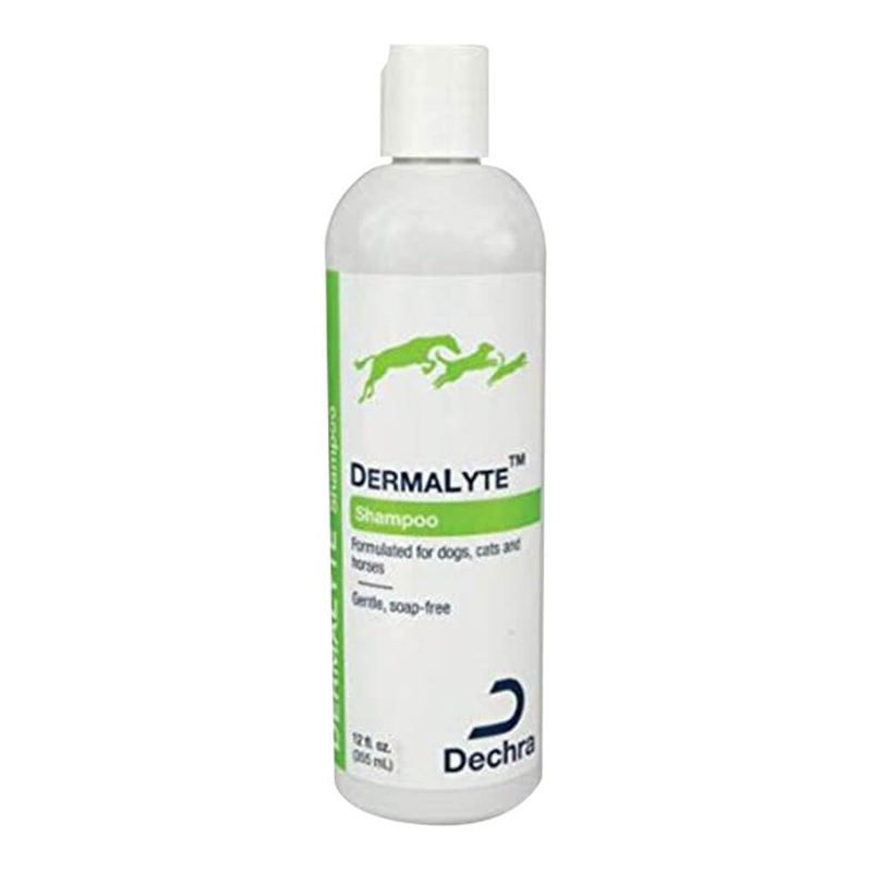 Shampoo, 12 Ounce