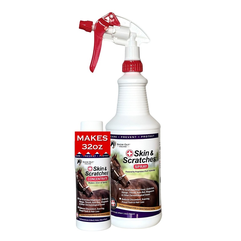Show Out Skin & Scratches 4 oz Concentrate – Fast Relief and Prevention for Horse Care. Use on Equine Scratches/Mud Fever, Girth Itch, Mange, Thrush, Rain Rot, Ringworm, etc w/Empty Spray Bottle 32 fl oz