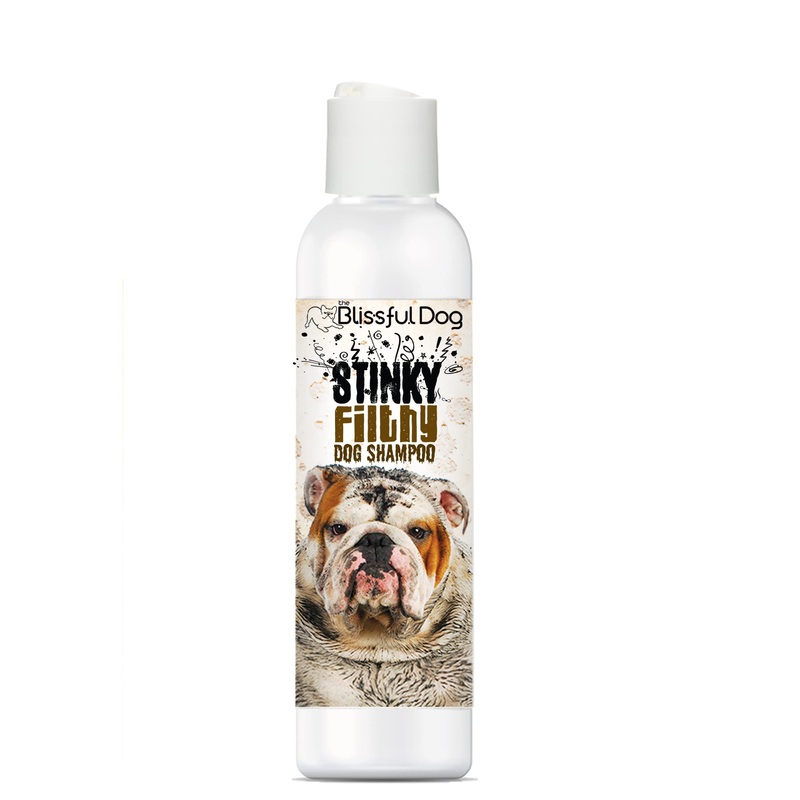 The Blissful Dog Stinky Filthy Dog Shampoo, 16 oz 16-Ounce