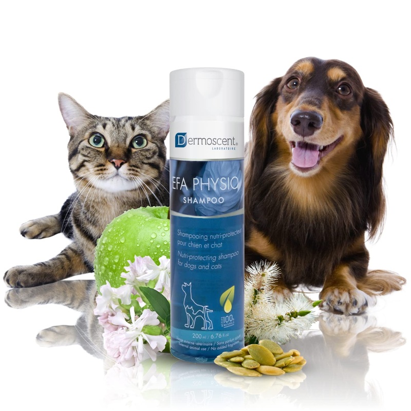 Dermoscent EFA Physio Shampoo for Dogs & Cats – Gentle Natural Ingredients for Frequent Bathing Allergies & Itchy Skin Relief – Soothes Dermatitis & Atopic Skin – 200 ml