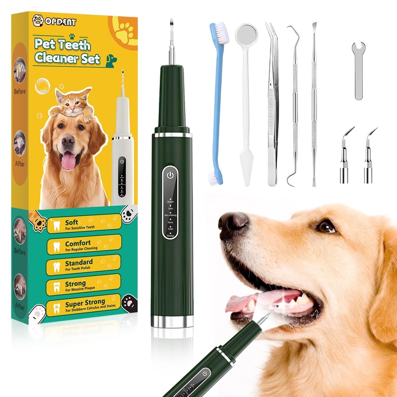 Dog Plaque Remover for Teeth – Pet Ultrasonic Tooth Cleaner, 6 Adjustable Modes Dog Teeth Cldaning Kit with LED Light, Cats and Dogs Tartar Remover for Teeth (Green, Large)