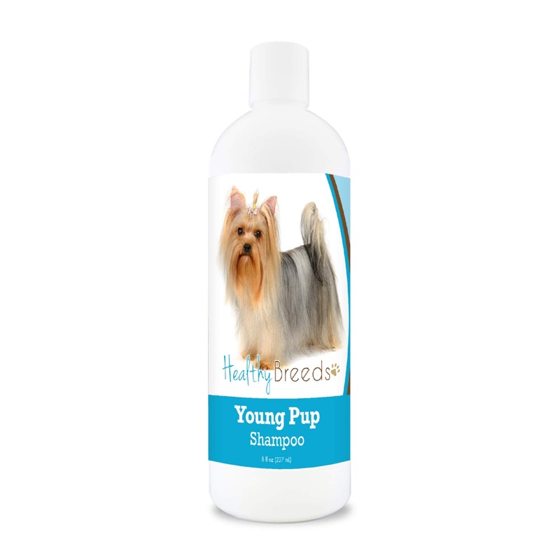 Healthy Breeds Yorkshire Terrier Young Pup Shampoo 8 oz