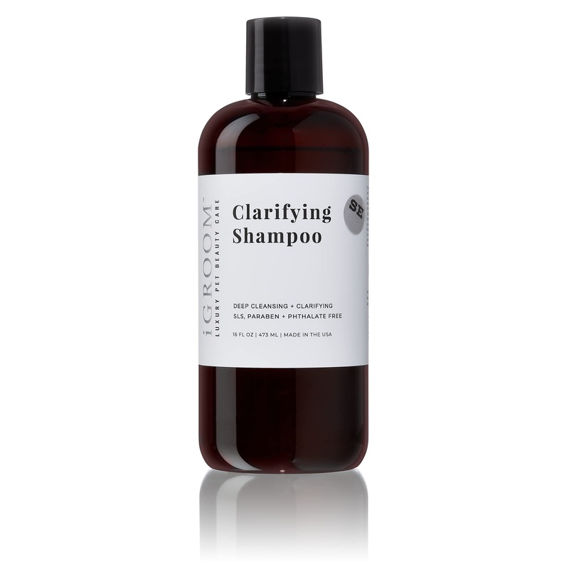 iGroom Clarifying Dog Shampoo, Soft, Shiny, and Clean Dog Coat, Luxury Pet Beauty Care, Sooth and Protect Coat, All Natural Ingredient Shampoo, Made in USA, 16 oz