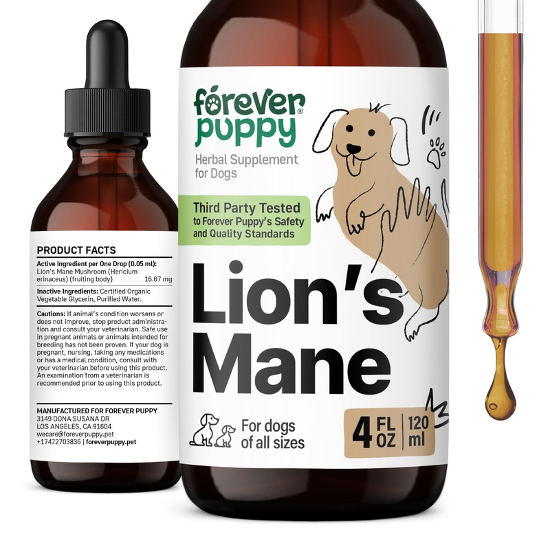 Lion’s Mane Mushroom Supplement for Dogs – Brain Health & Focus – Liquid Lions Mane Mushrooms for Dogs – Canine Supplements and Vitamins – Sugar & Alcohol-Free Drops – 4 fl oz