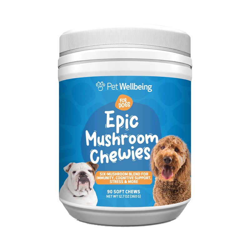 Pet Wellbeing Epic Mushroom Chewies for Dogs – Immune Support, Cognitive Health, Adaptogenic Stress Support with Reishi, Chaga, Lion’s Mane Functional Mushrooms – Veterinarian-Formulated 90 Soft Chews