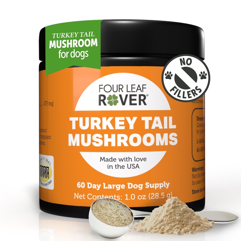 Turkey Tail Mushroom for Dogs – Whole, Organic Mushrooms – Tested High in Critical Beta-Glucans – No Grains or Fillers – 60 Day Large Dog Supply 60 Day Supply