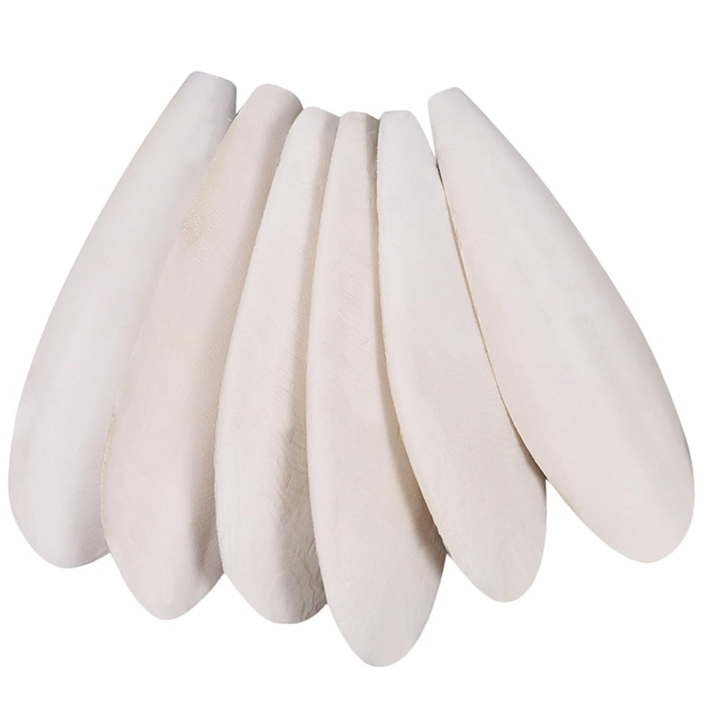 6 Pcs Natural Cuttlebone Parakeets Pure Cuttlebone Calcium Stone for Tortoise Parakeets Canaries Cockatiels Turtles Cockatiel 9.5-10.4cm/3.7-4 inch