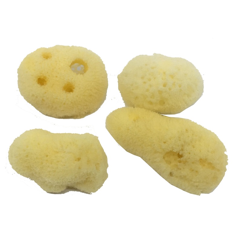 Awesome Aquatic 4-Pack of Hermit Crab Sea Sponges (All Natural Hermit Crab Sponge) Regular 4 pk
