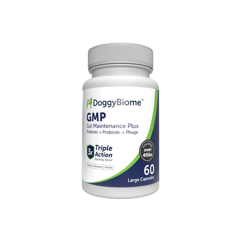 Dog Probiotics – GMP Prebiotics and Probiotics – Reduce Diarrhea Flareups – for Dogs Over 40 lbs (60 Capsules) – DoggyBiome Lg Capsule (Dogs over 40 lbs)
