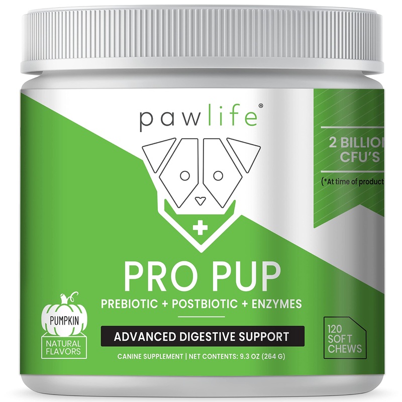 Probiotic Chews for Dogs – Pro Pup Dog Probiotics, Veterinarian Formulated Dog Probiotics and Digestive Enzymes, Dog Gut Health Probiotics, Natural Dog Gas Relief (Pumpkin Flavor) Pumpkin 120