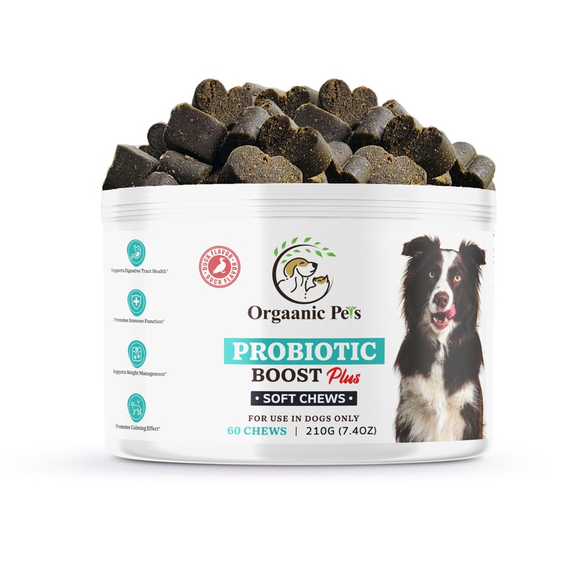 Ultimate Dog PROBIOTIC Chews – Boosts Gut Health and Eases Allergies with PROBIOTICS, POSTBIOTICS, PREBIOTICS (FOS) Inulin – Colostrum – Glutamine – Mushrooms -Pumpkin-QUERCETIN and a SUPERFOOD Blend