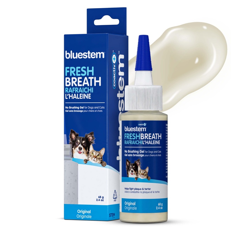bluestemTM No Brush Dog Dental Gel – Dog Oral Gel to Freshen Breath, and Fights Plaque and Tartar – Brushless Toothpaste for Dogs Original 2.4 Ounce (Pack of 1)