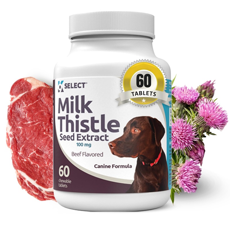 K9 Select Milk Thistle for Dogs, 100mg – 60 Beef Flavored Tablets – Canine Liver Health Natural Milk Thistle Supplement