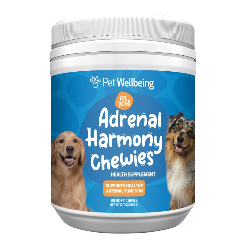 Pet Wellbeing Adrenal Harmony Chewies – Adrenal Health, Cortisol Balance, Antioxidant Support, Ashwagandha, Holy Basil, Bacopa – Veterinarian-Formulated Supplement for Dogs (90 Soft Chews)