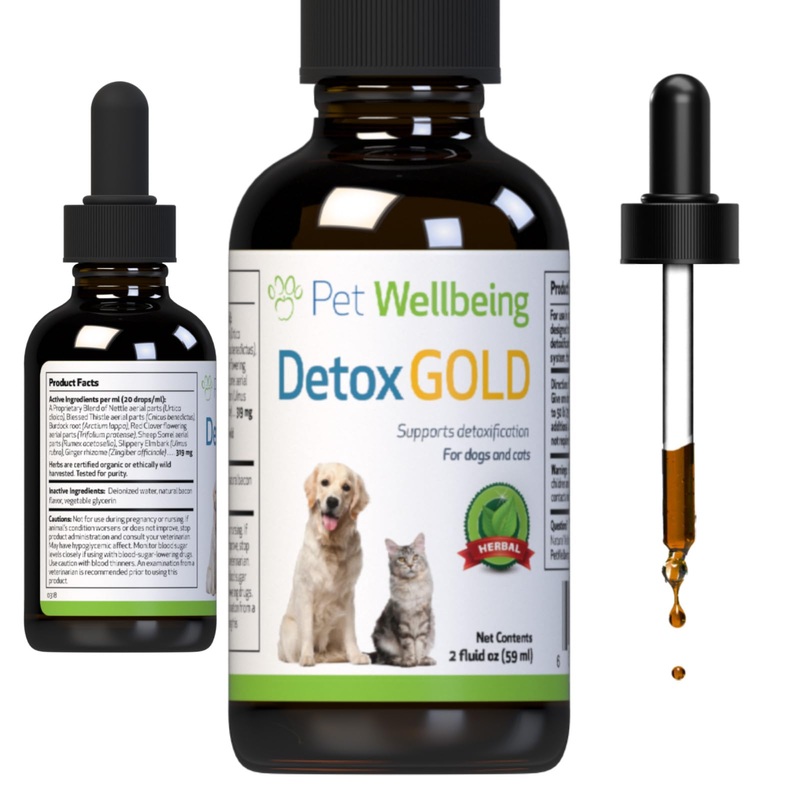 Pet Wellbeing Detox Gold for Dogs – Gentle Detoxification & Elimination Support, Immune System Care, Nettle, Blessed Thistle, Burdock Root – Veterinarian-Formulated Herbal Supplement 2 oz (59 ml) 2 fl oz (59 ml)