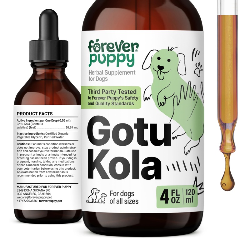 Gotu Kola Drops for Dogs – Gotu Kola Extract & Centella Asiatica for Brain Health Support – Nutritional Brain Supplement for Dogs of All Breeds & Sizes – 4 oz 4 fl oz