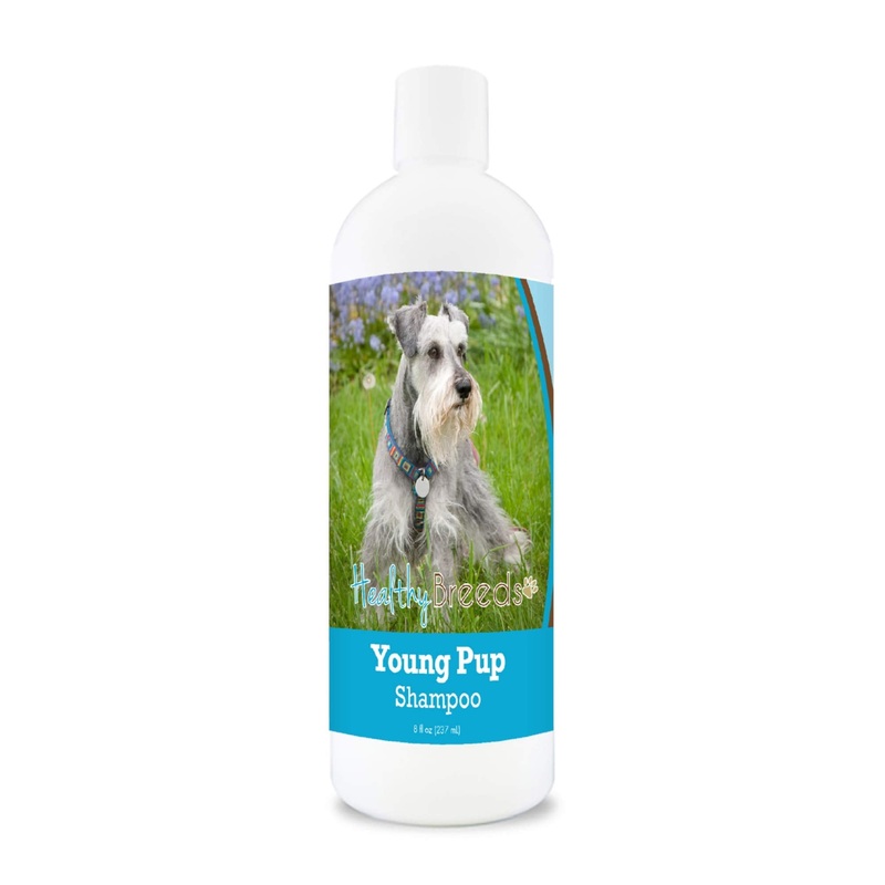Healthy Breeds Miniature Schnauzer Young Pup Shampoo 8 oz