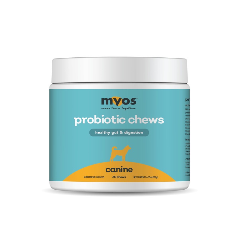 MYOS Probiotic Chew for Dogs – Daily Digestive Support, Promotes Complete Gut Health, Aids Digestion, Enhances Nutrient Absorption, Supports Healthy Stool – All-in-One Chewable Supplement