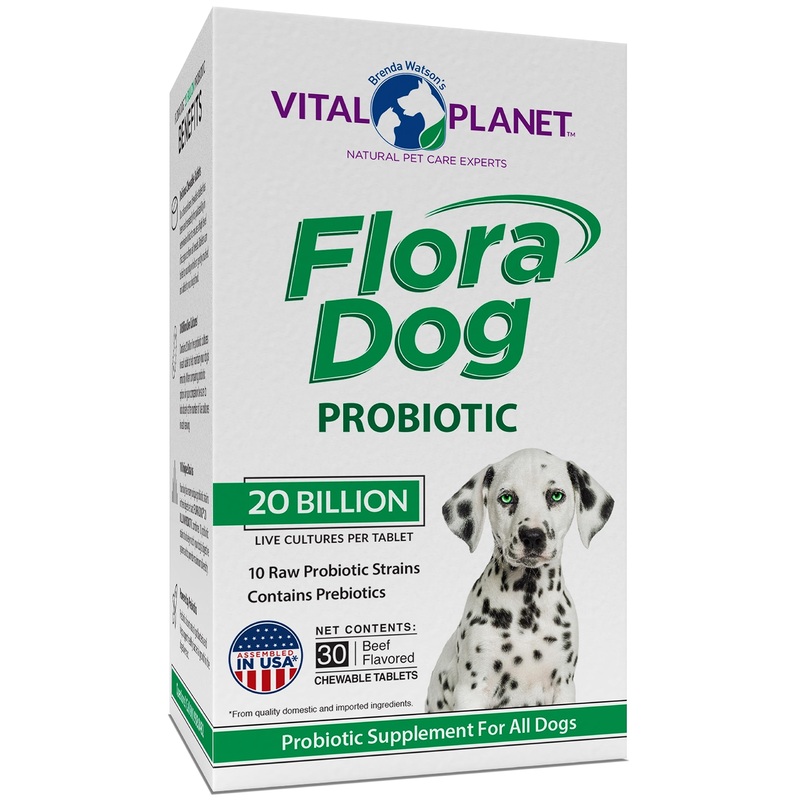 Vital Planet – Flora Dog Probiotic Chewable Tablets Supplement with 20 Billion Cultures and 10 Strains, High Potency Immune and Digestive Support Probiotics for Dogs, 30 Beef Flavored Chewable Tablets