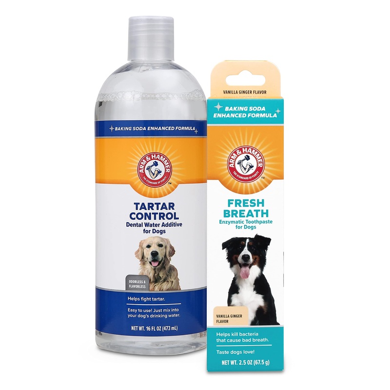 Arm & Hammer for Pets Combo Pack Dog Dental Tartar Control Water Additive and Fresh Breath Vanilla Ginger Enzymatic Toothpaste | Includes 16 Oz Dog Water Additive and 2.5 oz Dog Toothpaste
