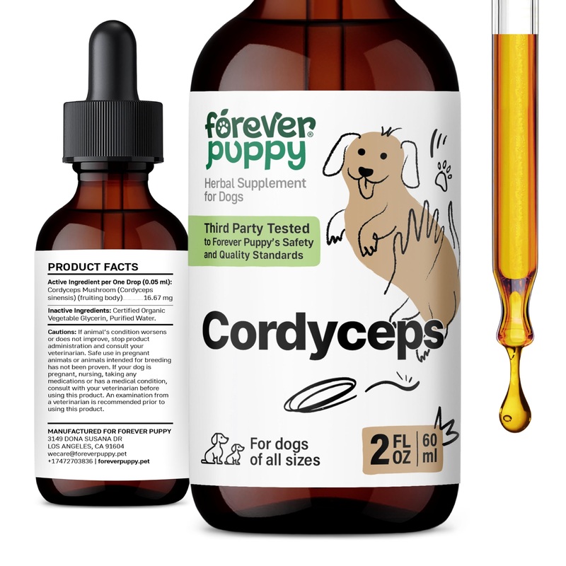 Cordyceps Mushroom Tincture for Dogs – Energy Support Supplement w/Cordyceps Sinensis Extract for Kidney Cleanse – Mushroom Drops for Dogs’ Canine Kidney Health Support – 2 oz