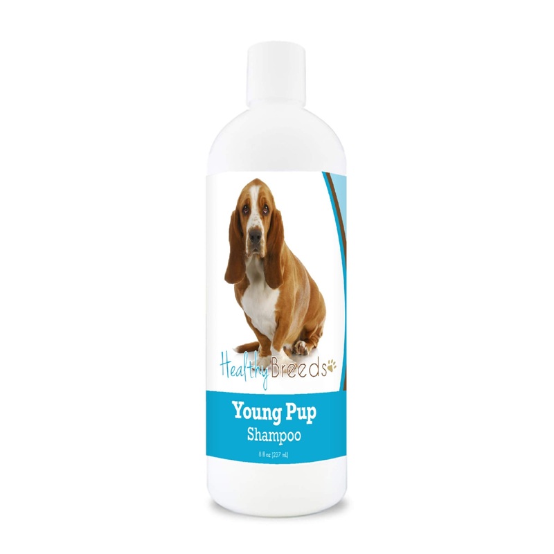 Healthy Breeds Basset Hound Young Pup Shampoo 8 oz