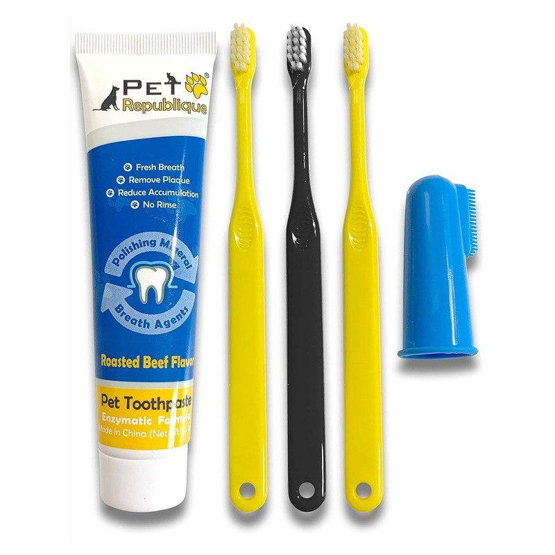 Pet Republique Enzymatic Dog Toothpaste Kit with Toothbrushes (1 Finger & 3 Handle Toothbrushes, Beef)