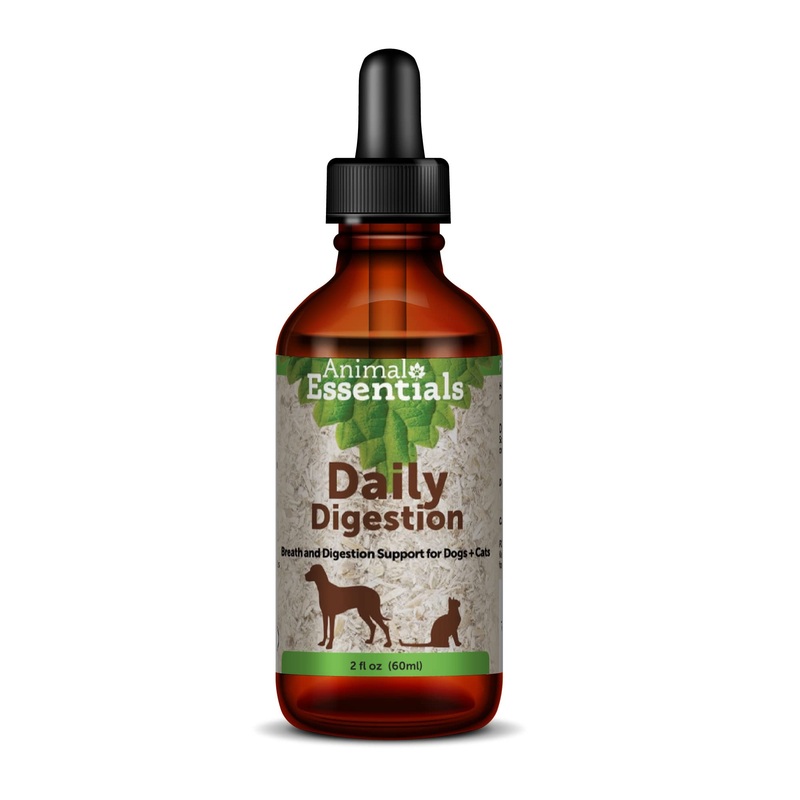 Animal Essentials Daily Digestion for Dogs & Cats – Digestive Support, Fresh Breath, Ginger Root, Fennel Seed Extract, Liquid Supplement – 2 Fl Oz 2 fl oz (60 ml) (Pack of 1)