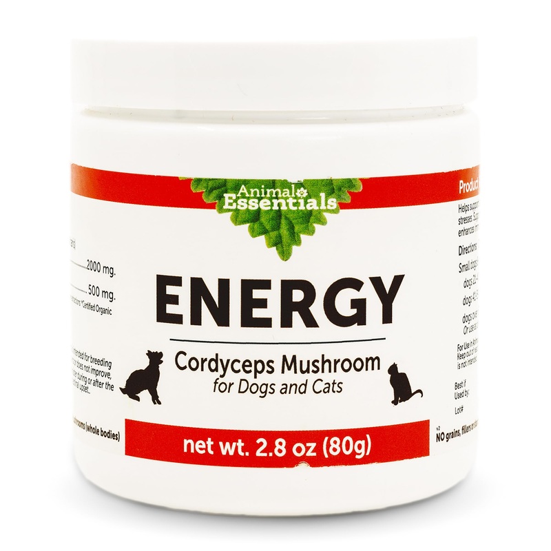Animal Essentials Energy Cordyceps Mushroom Supplement for Dogs & Cats – Support Stamina & Endurance, Healthy Respiratory & Kidney Functions, Antioxidant, Mushroom Powder Extract – 2.8 Oz (Pack of 1)