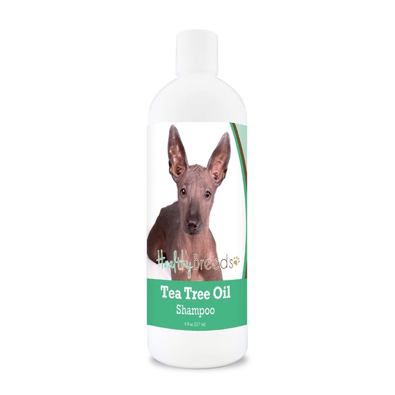 Healthy Breeds Xoloitzcuintli Tea Tree Oil Shampoo  Formulated for Dry, Irritated Skin  Reduce Dandruff  Wintergreen Scent  8 oz
