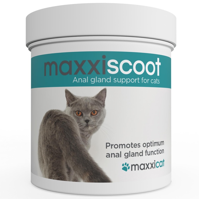 maxxiscoot Anal Gland & Digestive Health Support for Cats – Powder Supplement, 3.2oz