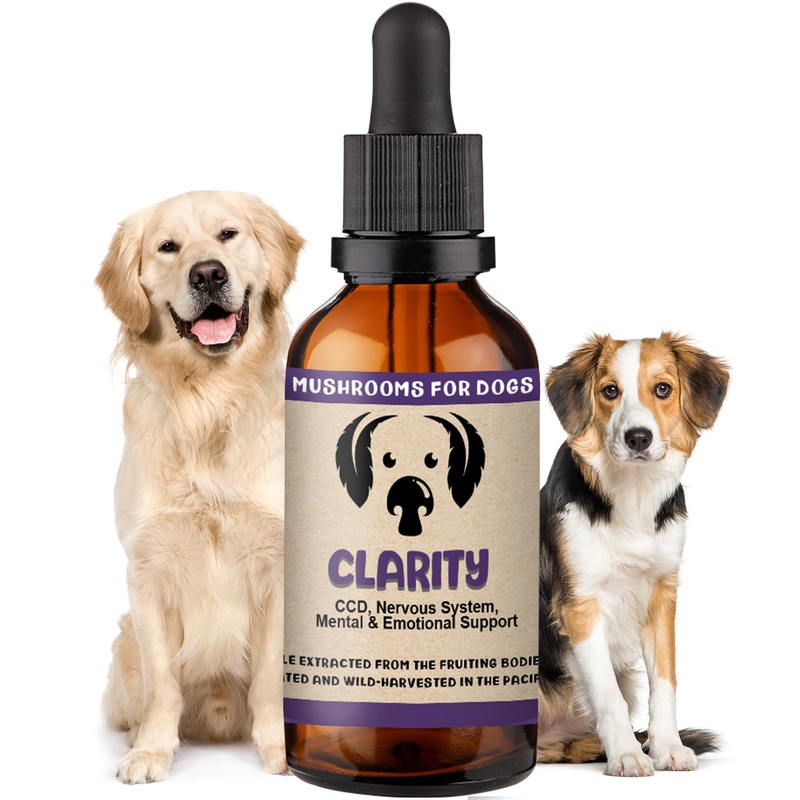 MycoDog Clarity Mushroom Extract & Adaptogen Tincture for Canines – Mushroom & Ashwagandha Supplements for Nervous, Mental, & Emotional Support – Reishi Mushroom, Cordyceps, & Lions Mane Supplement