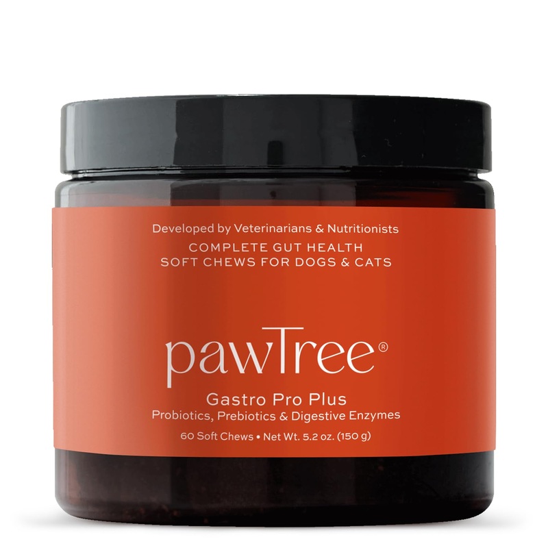 pawTree Gastro Pro Plus for Dogs and Cats – Probiotics, Prebiotics and Digestive Enzymes – for Sensitive Stomach, Digestive Issues, Loose Stool, and Bad Gas (60 ct) 60 ct