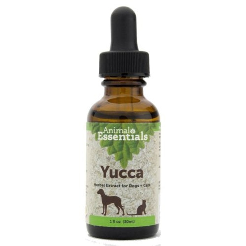 Animal Essentials Yucca for Dogs and Cats – Joint & Digestive Support, Yucca Root Supplement, Liquid Drops, Herbal Extract – 1 Fl Oz
