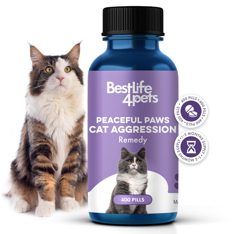 Anti Aggression for Cats Calming Remedy, A Natural Diffuser and Cat Calming Aid for Stress, Spiteful Spraying, Scratching & Territorial Behavior, Non-Drowsy, 400 Odorless, Tasteless Pills