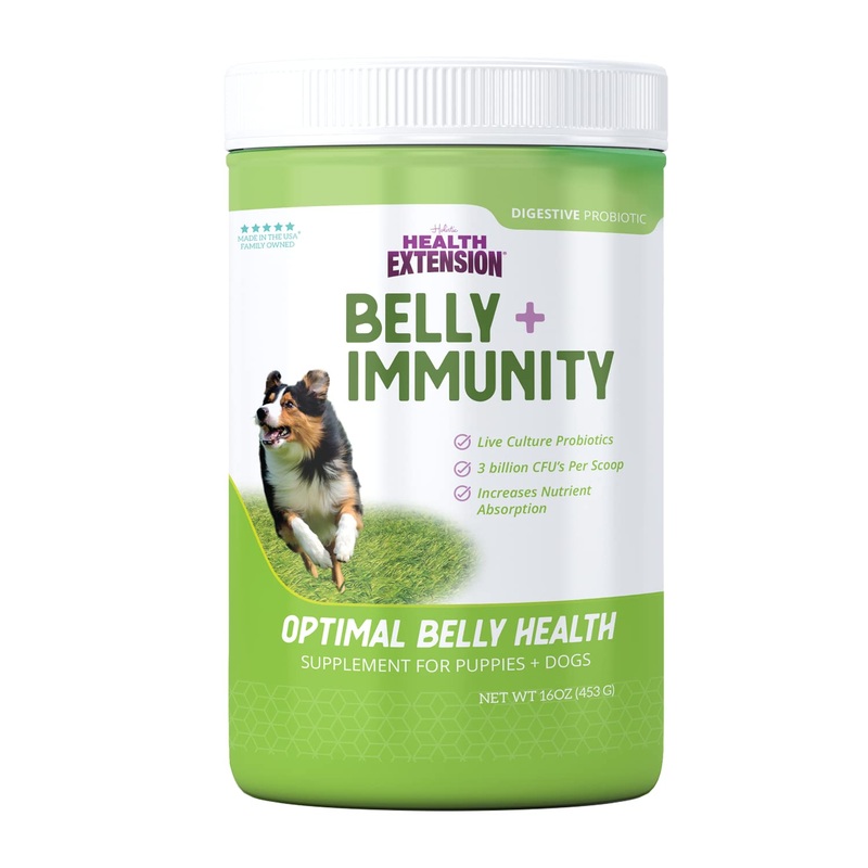 Health Extension Digestive Probiotic for Dogs & Puppies, 16oz – Belly+Immunity System Support, 3 Billion CFUs Per Scoop, Natural Ingredients for All Life Stages 16 Ounce