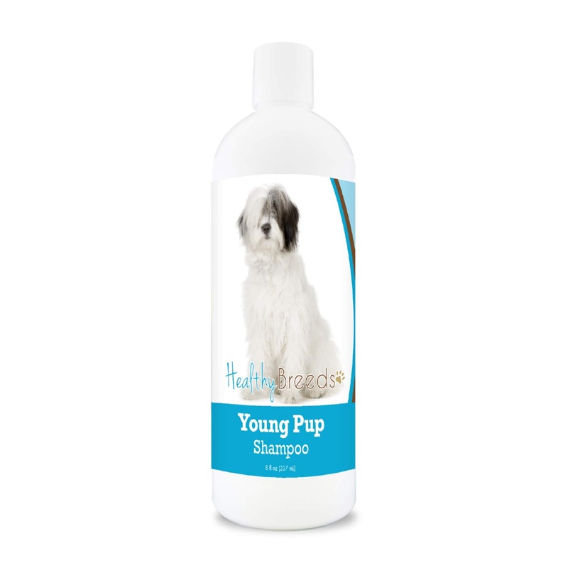 Healthy Breeds Old English Sheepdog Young Pup Shampoo 8 oz