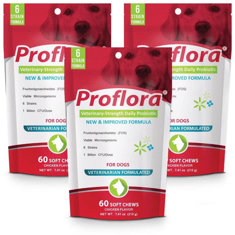 Proflora Probiotic Soft Chews for Dogs – Veterinary-Strength Daily Probiotic – Digestion Health – Boost Immune System – Skin and Coat Health – 180 Soft Chews