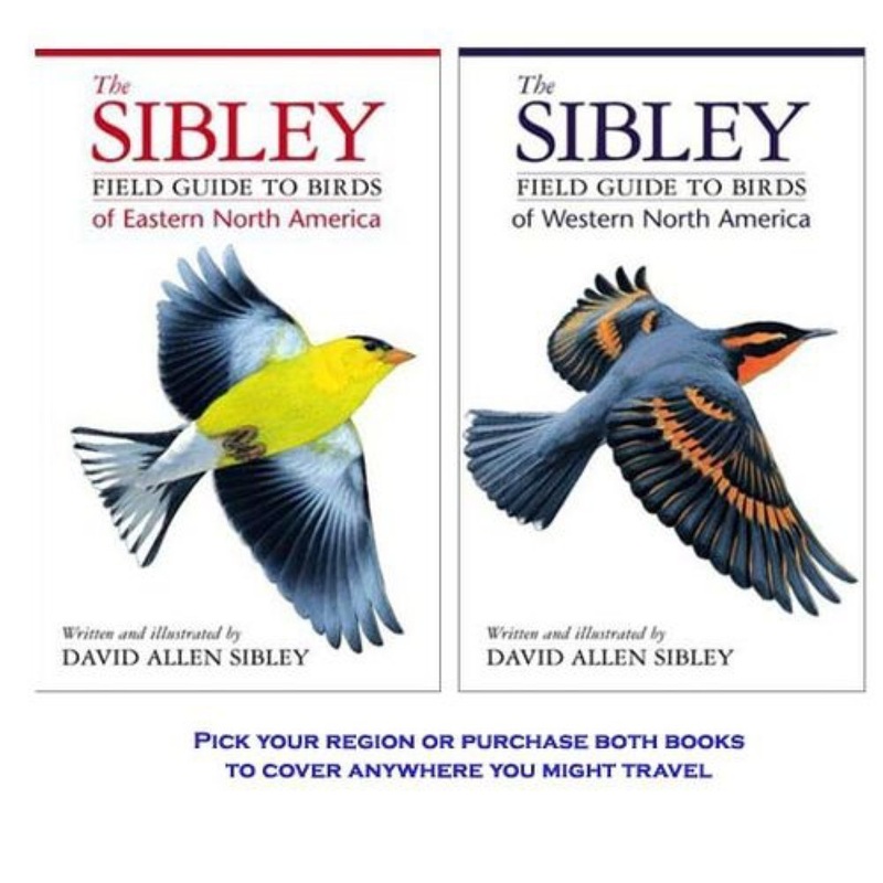 The Sibley Field Guide to Birds of Eastern North America