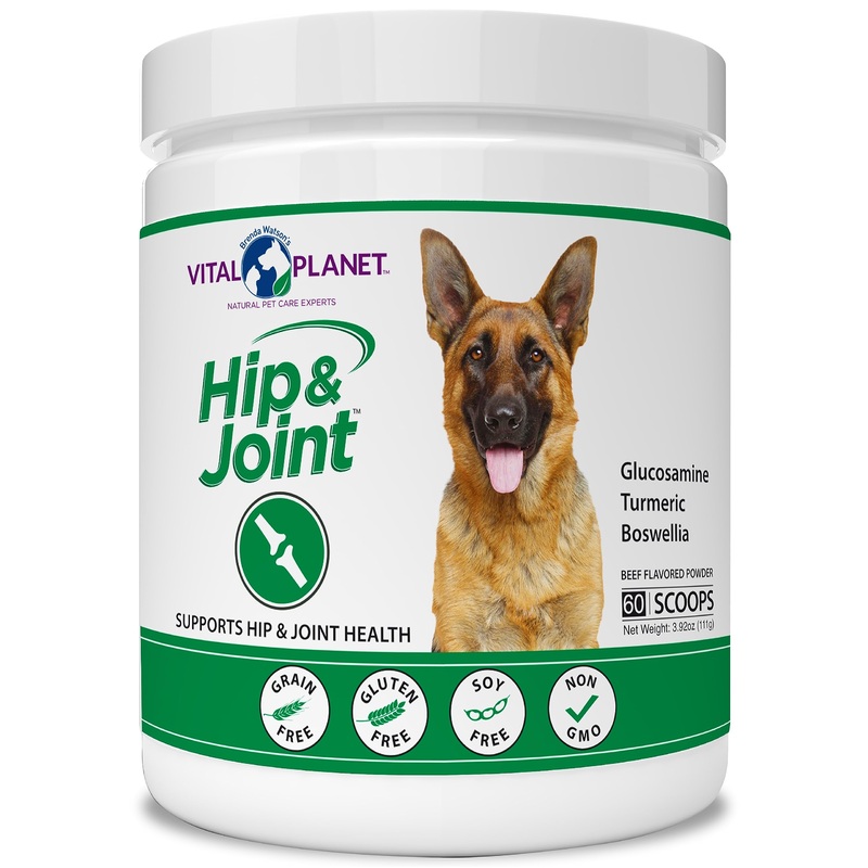 Vital Planet – Hip and Joint Support Powder Supplement for Dogs, with Glucosamine, Turmeric, Boswellia, MSM, and Collagen from Green-Lipped Mussel – Beef Flavored Powder, 60 Scoops, 111 Grams